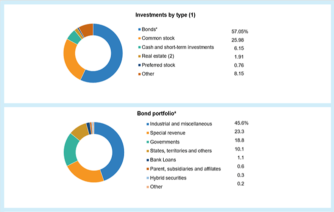 Investments, Property/Casualty Insurers, 2019