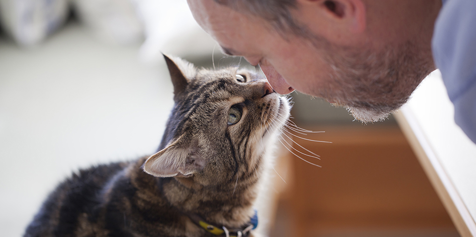 Rencontres gratuites et chat entre célibataires